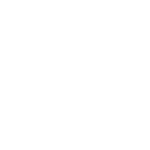 T13MEDIA